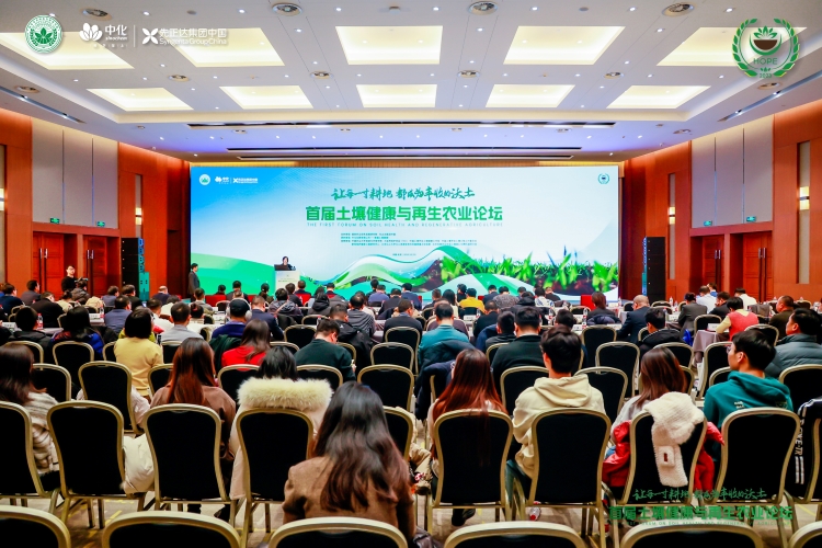 OEŷ��|�ٷ���վ